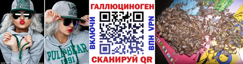 Псилоцибиновые грибы Psilocybe  OMG онион  Карпинск  darknet официальный сайт  закладка 